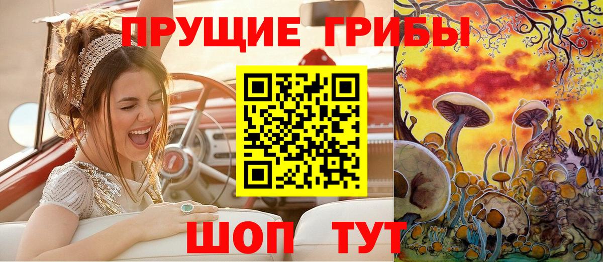 Галлюциногенные грибы Cubensis Узловая