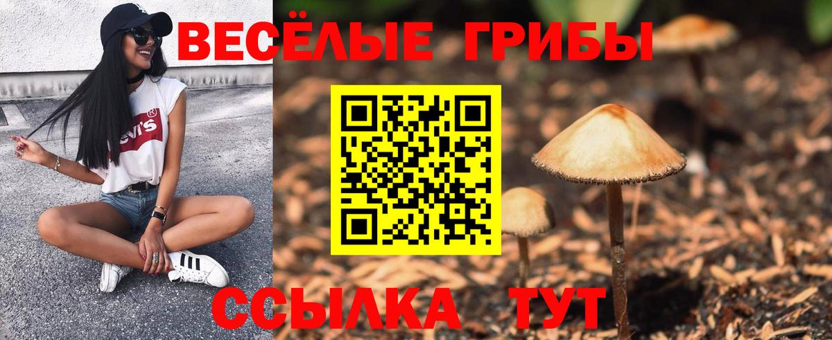 Галлюциногенные грибы Cubensis  Вход с VPN  Узловая 